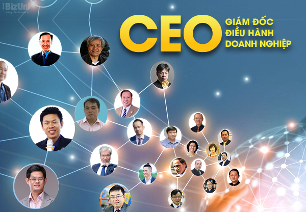 CEO dành cho Chủ Doanh Nghiệp, Giám Đốc Điều Hành