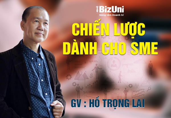 Chiến lược dành cho Startup và SMEs